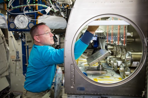 Rodent Research Ops in Microgravity Science Glovebox - Photo: NASA