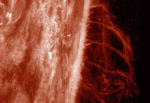 Solar Prominences captured by IRIS in 2015 - Image: NASA