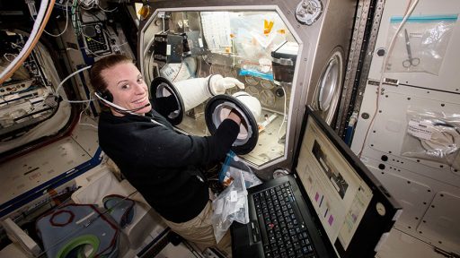 Kate Rubins working in the Microgravity Science Glovebox - Photo: NASA