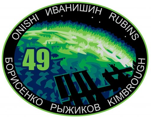 The International Space Station Expedition 49 crew patch features an original design by graphics artist Cindy Bush at NASA's Johnson Space Center, prominently featuring the orbital complex flying across a powerful display of Earth's aurora.