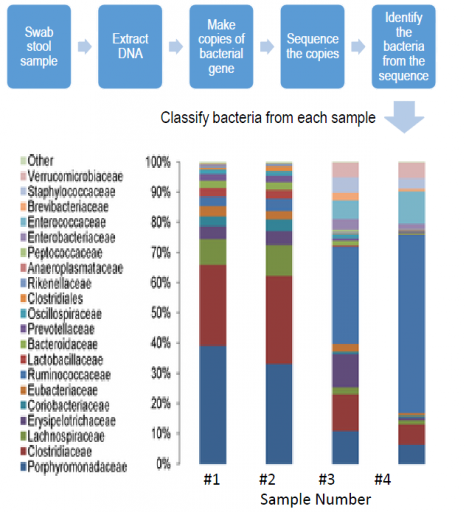 Metagenomic Sequencing of the Microbiome - Image: Northwestern University